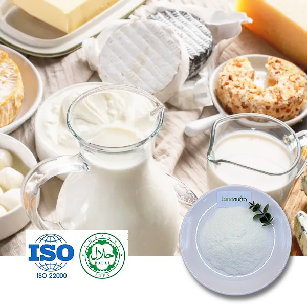 Alanyl Alanine Powder Alanyl Alanine Powder