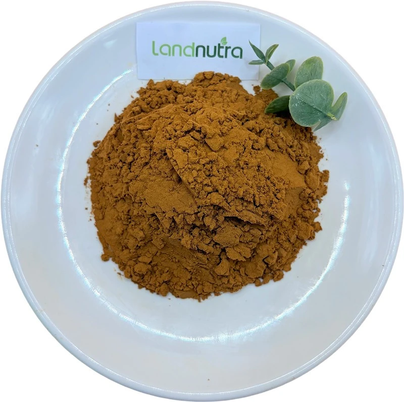 Green Coffee Bean Extract Powder Bulk suppliers
