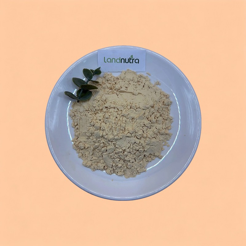 Hydrolyzed Yeast Protein Powder