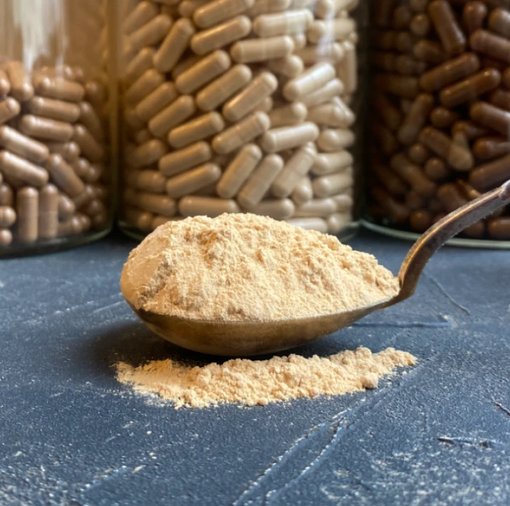 hericium extract powder landnutra 01 hericium extract powder landnutra 01
