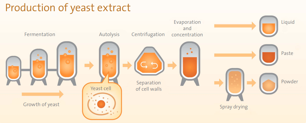 Hydrolyzed Yeast Protein Powder Hydrolyzed Yeast Protein Powder