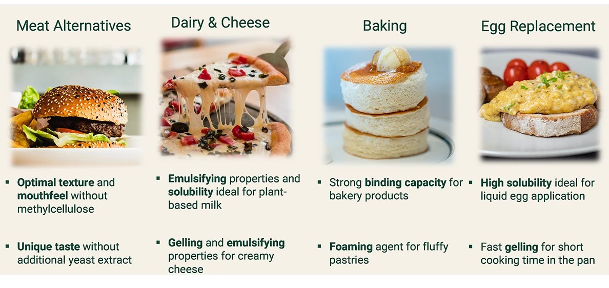 Hydrolyzed Yeast Protein Powder manufacturer Hydrolyzed Yeast Protein Powder manufacturer