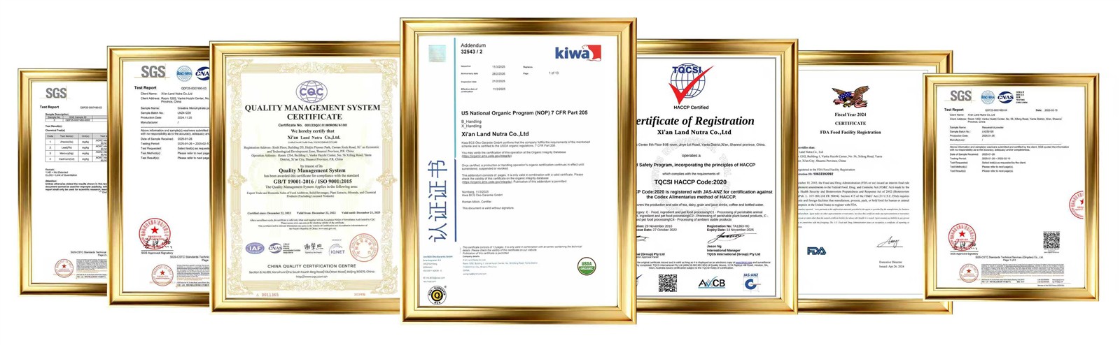 pure-gaba-certificate-coa pure-gaba-certificate-coa