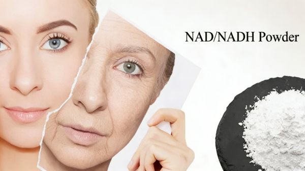nadh-bulk-powder-application nadh-bulk-powder-application