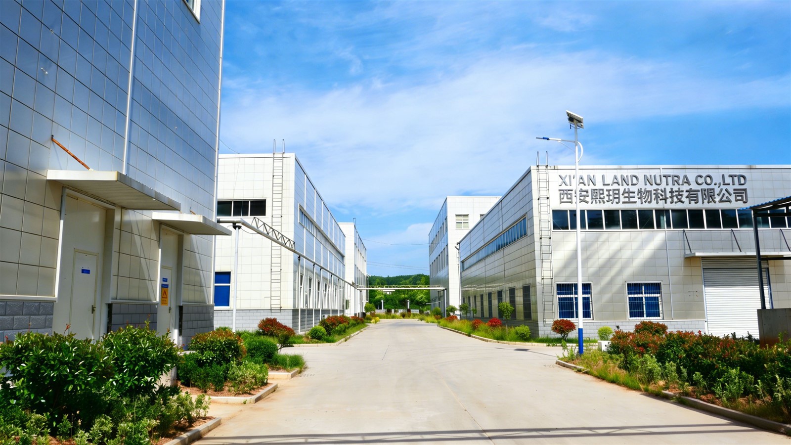 nadh-bulk-factory-cgmp nadh-bulk-factory-cgmp