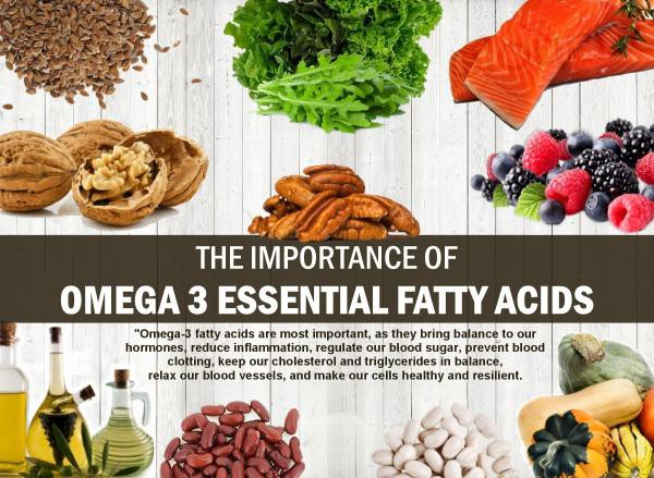 omega-3-fatty-acids-dha-powder-application omega-3-fatty-acids-dha-powder-application