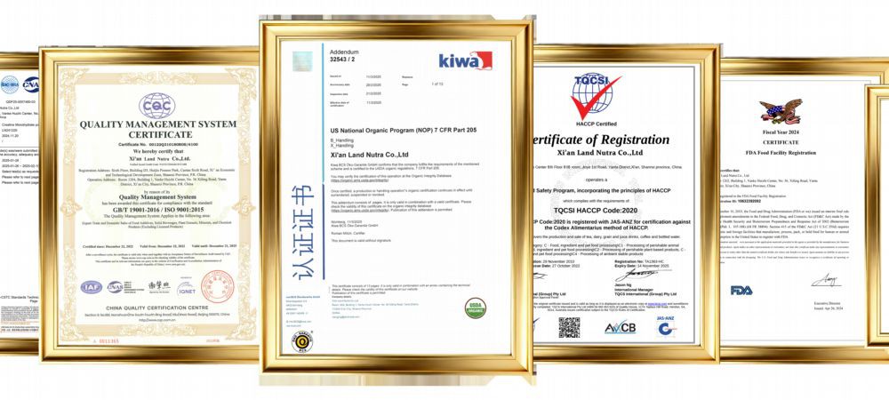 alanyl-alanine-certificate-coa alanyl-alanine-certificate-coa