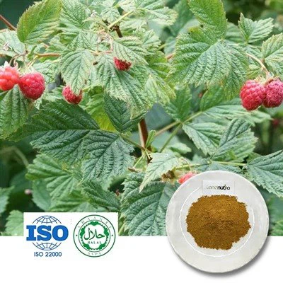 Red Raspberry Leaf Extract