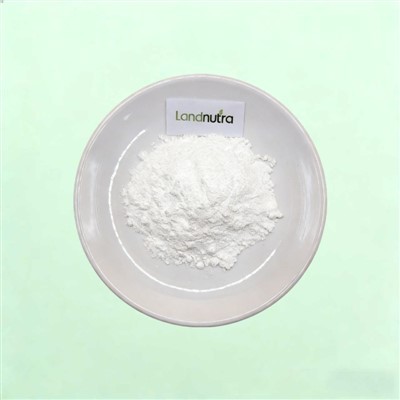 NADH Bulk Powder