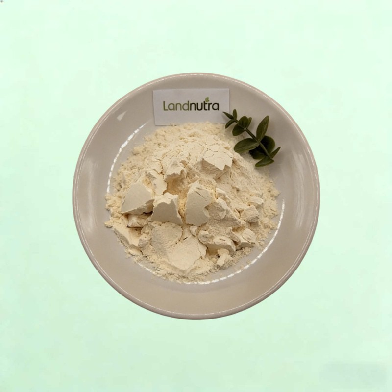 Soy Isoflavones Powder