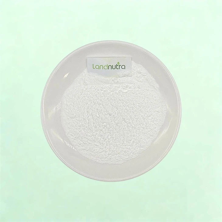 Micronized Creatine Monohydrate Powder